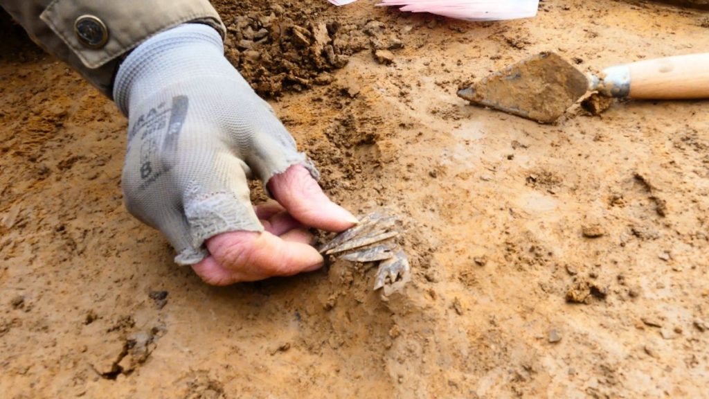 archeologie-en-normandie-decouverte-dun-rare-habitat-du-neolithique-ancien-et-du-actualite-voyages-magazine-tendances-la-revue-1