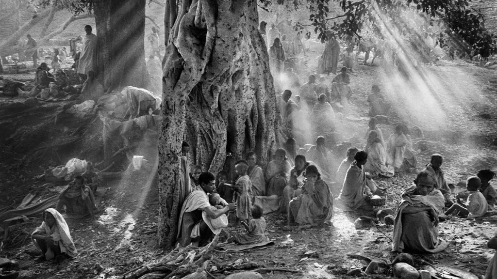 critique-a-paris-une-exposition-gratuite-rend-hommage-a-sebastiao-salgado-photog-actualite-voyages-magazine-tendances-la-revue-1-2