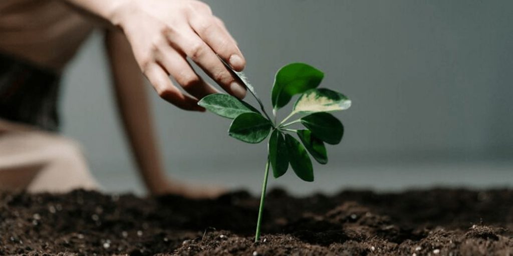 update-clef-verte-20182026-comment-la-france-a-fait-dun-ecolabel-un-standard-de-actualite-voyages-magazine-tendances-la-revue-1