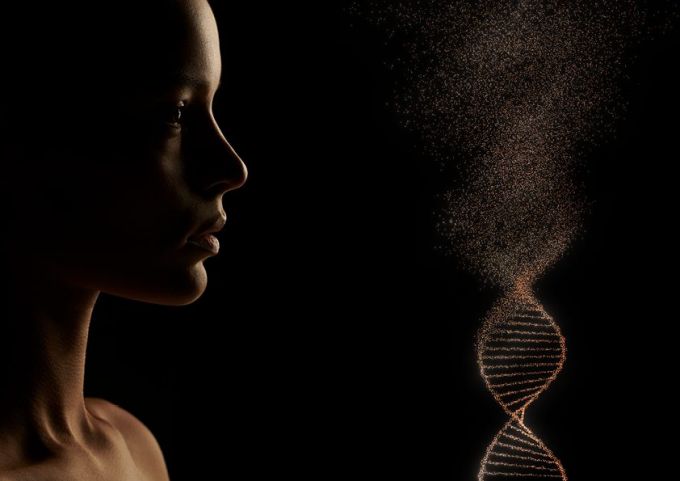 Cliniques de longévité : la médecine régénérative, nouveau graal anti-âge