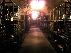Grands vins en cave