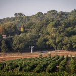 La Commanderie de Peyrassol à Flassans-sur-Issole, entre vignes et art contemporain