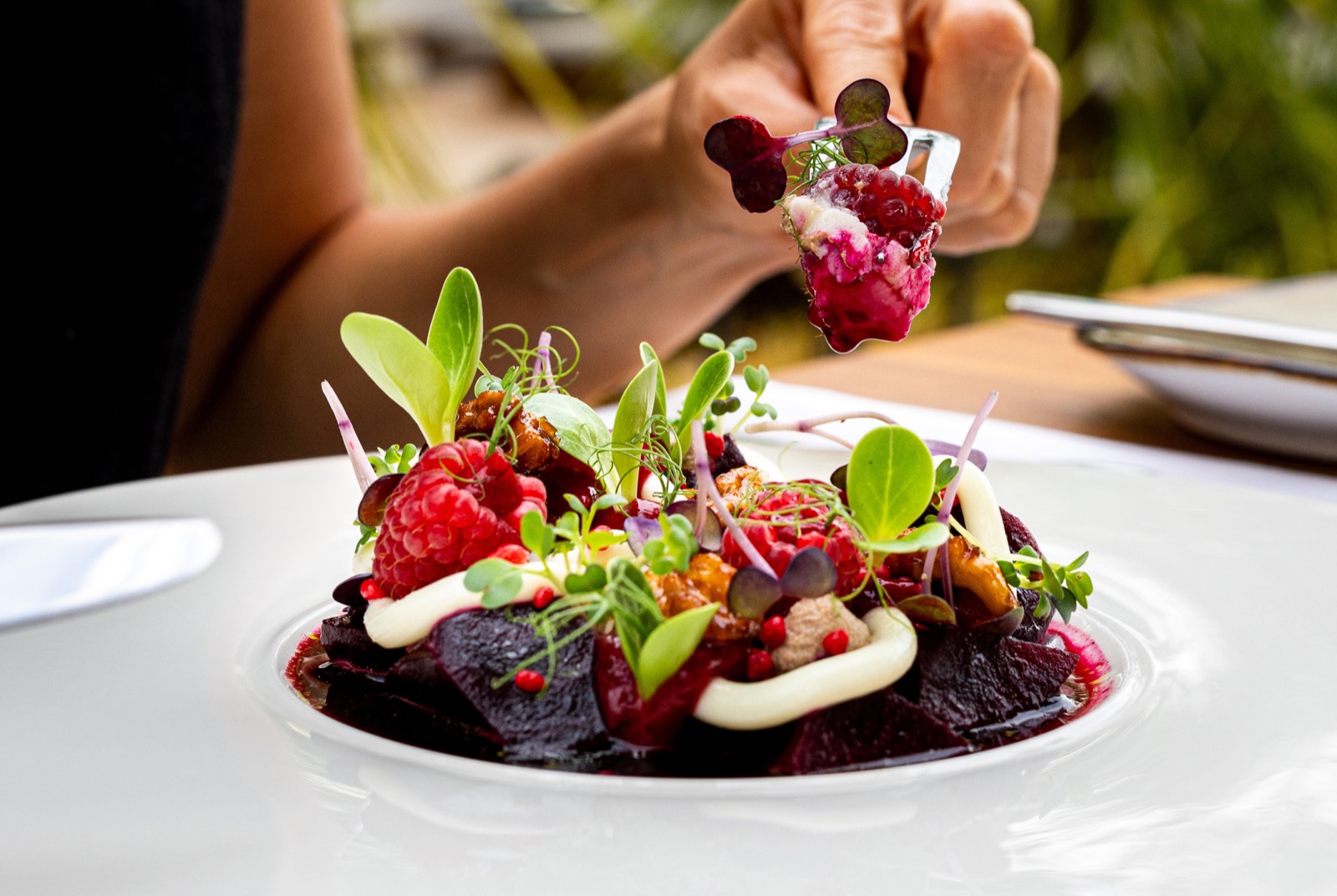 Maslina resort hvar restaurant terra cuisine farm to table