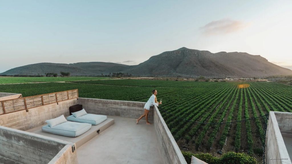 Terrasse en toit du Paradero ouverte sur les champs et les montagnes de Basse-Californie du Sud