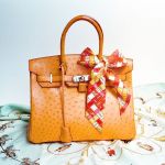 Sac Hermes Birkin en autruche, symbole des sacs les plus chers du monde