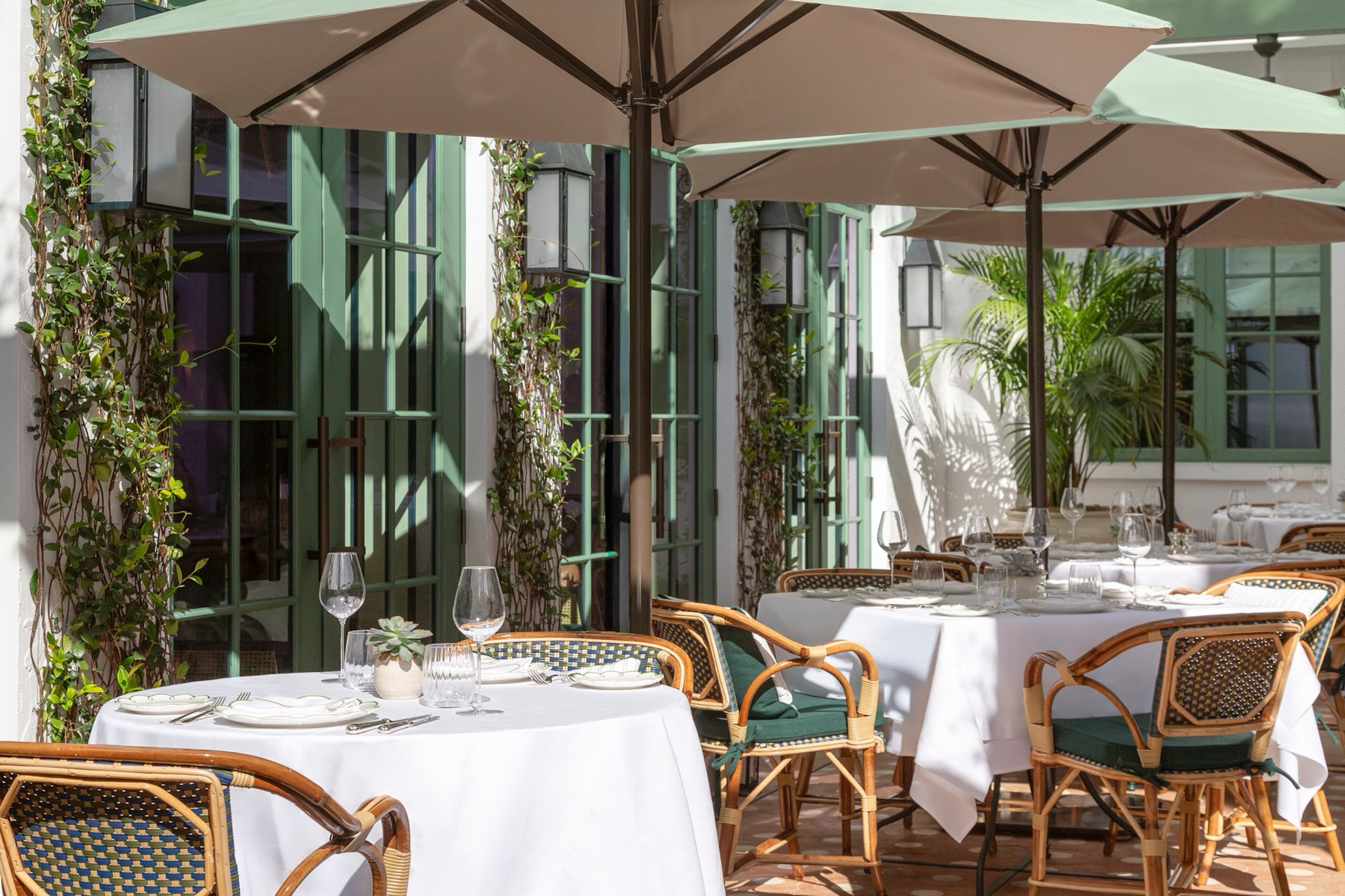 The vineta hotel palm beach patio cocos cour interieure