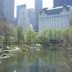 New York, ville avec le plus de milliardaires au monde en 2026
