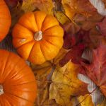 Célébrations d'automne et de Thanksgiving au Four Seasons Westlake Village - La Revue du Luxe