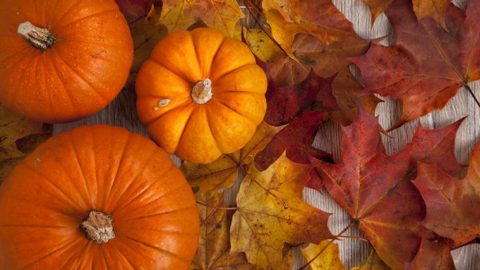 Célébrations d'automne et de Thanksgiving au Four Seasons Westlake Village - La Revue du Luxe