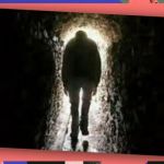 L'Abbaye de Cerisy-la-Forêt dévoile son souterrain médiéval secret pour les JEP 2026 - La Revue du Luxe