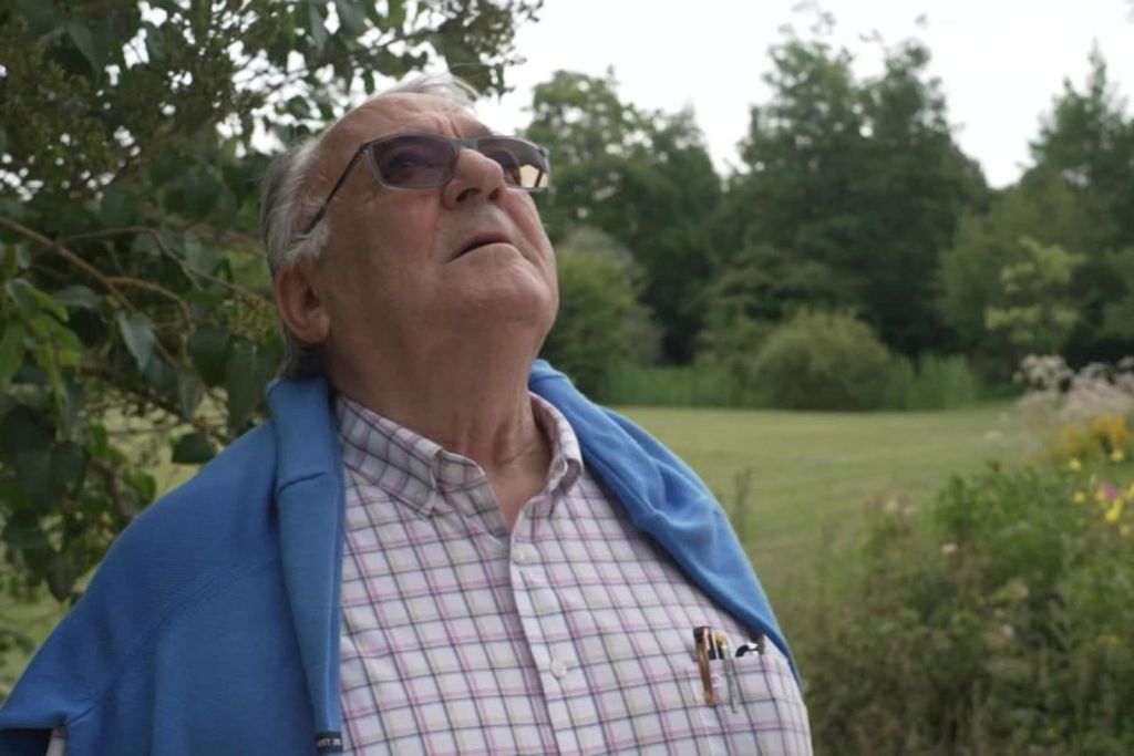 Versailles : à 80 ans, il élague toujours les arbres du Roi-Soleil - La Revue du Luxe