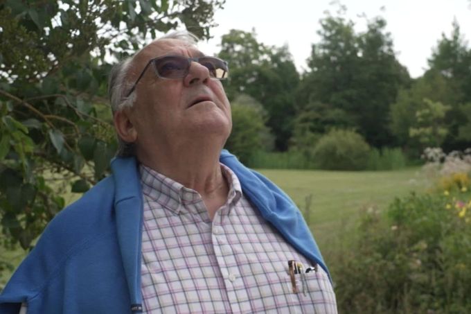 Versailles : à 80 ans, il élague toujours les arbres du Roi-Soleil - La Revue du Luxe
