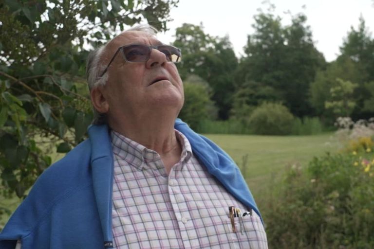 Versailles : à 80 ans, il élague toujours les arbres du Roi-Soleil