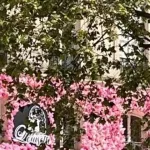 Maison Louisette : la brasserie parisienne des Grands Boulevards recherche son nouveau chef - La Revue du Luxe