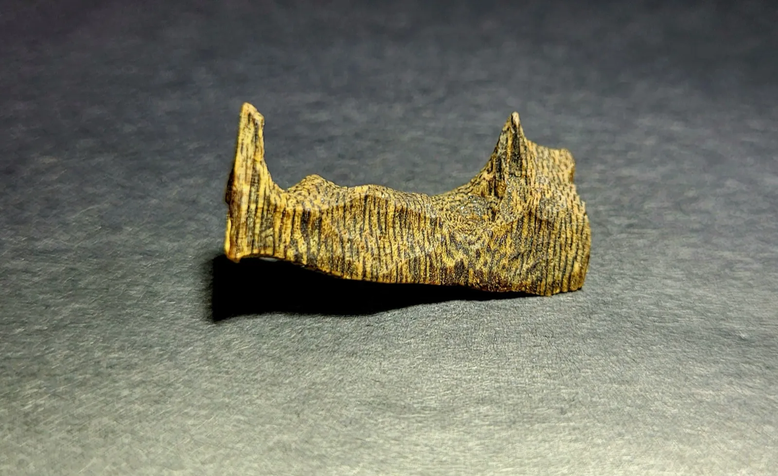 Copeau de bois d'agar de qualité kinam, la forme la plus rare de l'oud