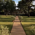 Allée de gravier traversant une pelouse entre de grands cèdres, vers la demeure d'un domaine Fontenille Collection