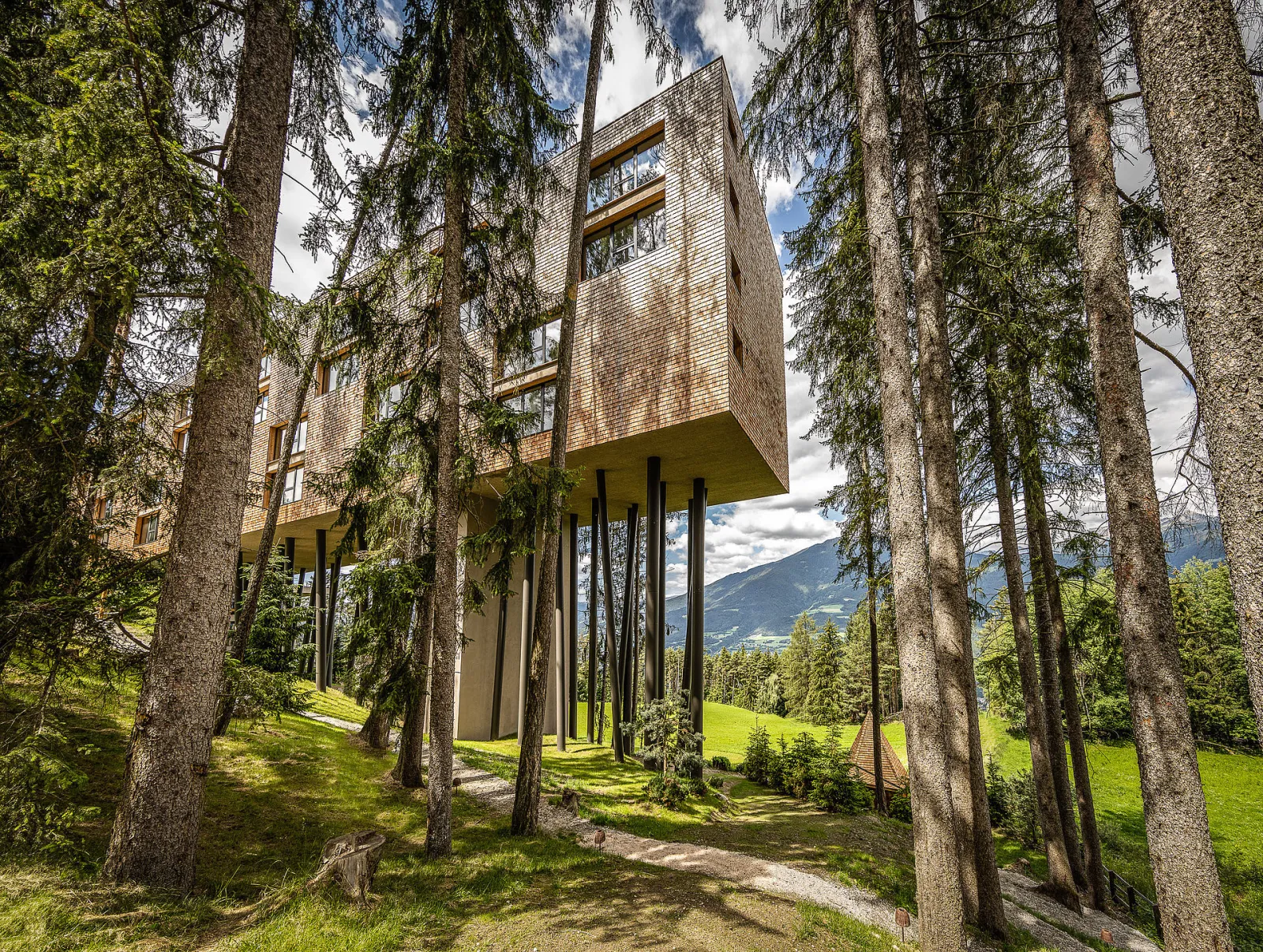 Hôtel My Arbor suspendu sur de hauts pilotis au milieu des sapins de la forêt de la Plose, avec les montagnes au loin