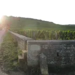 Le mur de pierre et les vignes du climat Romanée-Conti à Vosne-Romanée