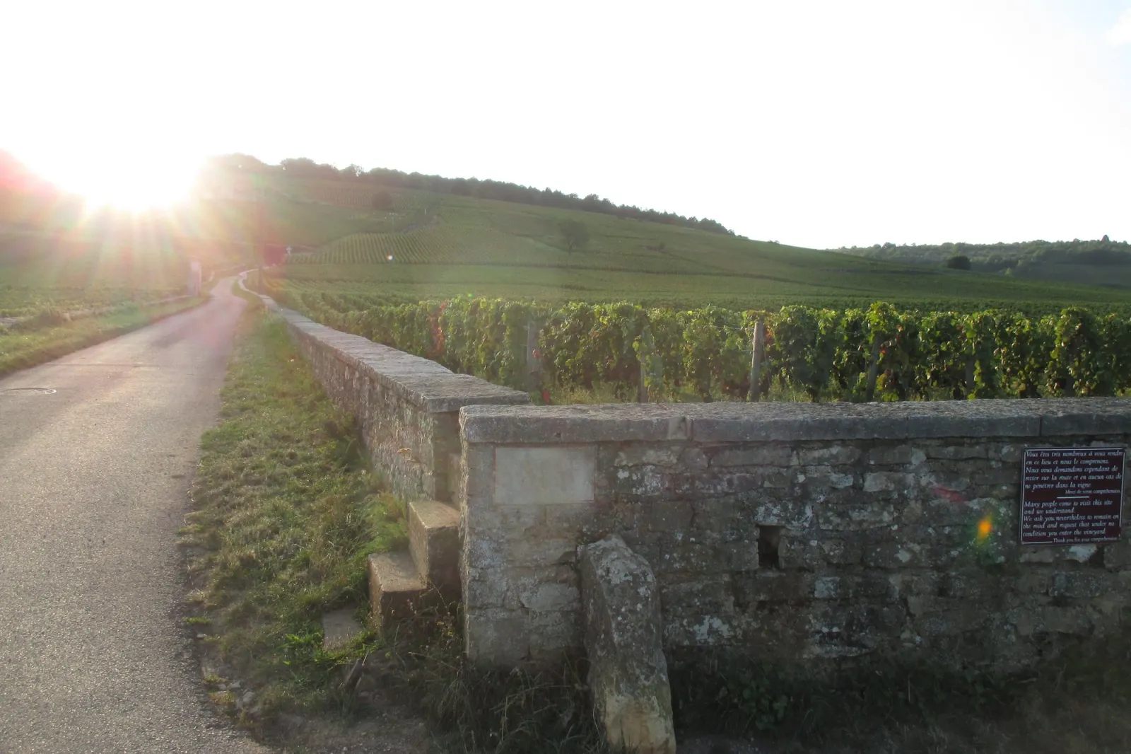 Le mur de pierre et les vignes du climat Romanée-Conti à Vosne-Romanée