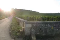 Le mur de pierre et les vignes du climat Romanée-Conti à Vosne-Romanée
