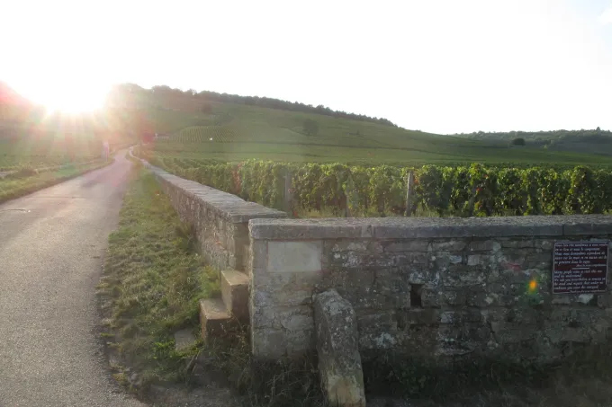 Le mur de pierre et les vignes du climat Romanée-Conti à Vosne-Romanée