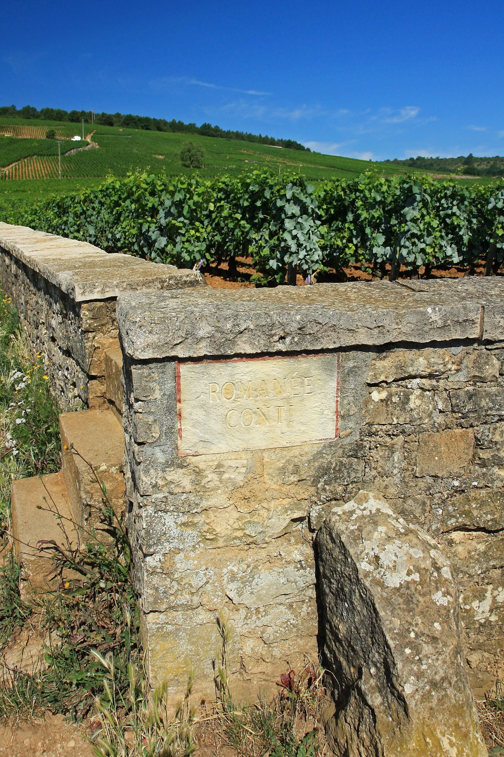 Plaque gravée Romanée-Conti sur le mur du vignoble